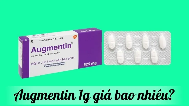 Augmentin 1g giá bao nhiêu? Cập nhật mới nhất năm nay