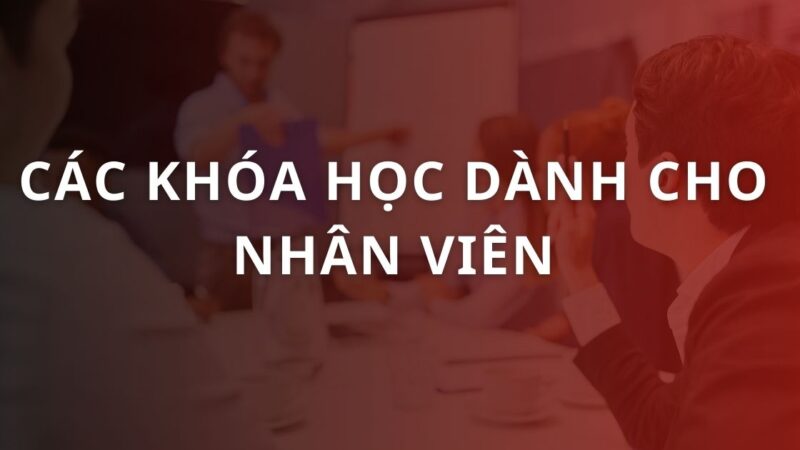 TOP 10+ khóa học dành cho nhân viên, tăng hiệu suất 2025