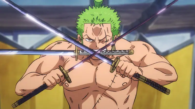 Đánh giá cao hình ảnh của Roronoa Zoro, Kiến pháp là tuyệt vời