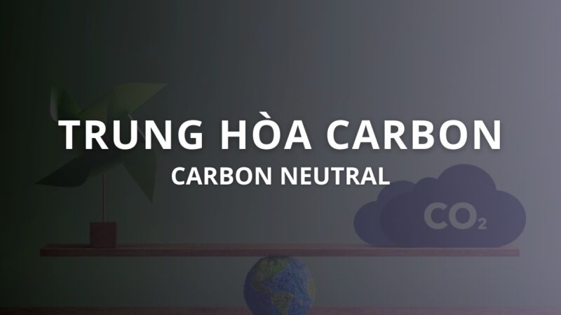 Trung hòa Carbon là gì? Phân biệt trung hòa Carbon và Net Zero