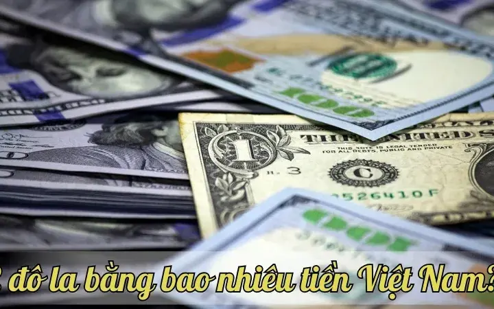 2 đô la bằng bao nhiêu tiền Việt Nam? Cập nhật tỷ giá mới nhất