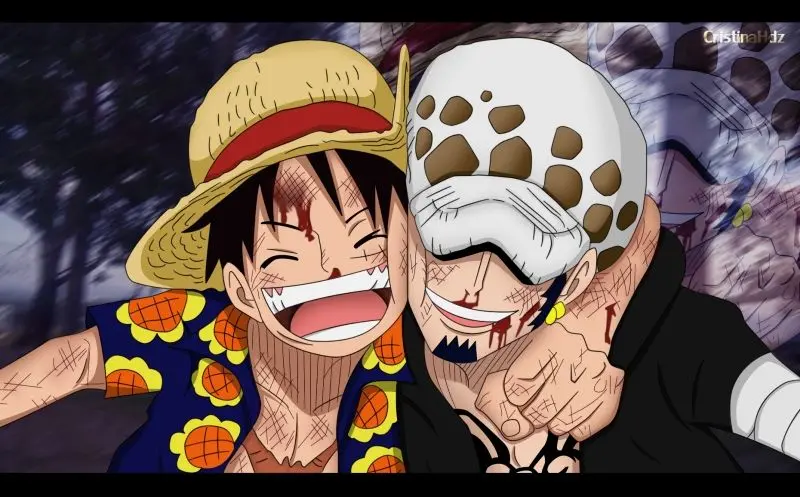 Những bức ảnh anime của Luffy và những người bạn đồng hành trung thành.