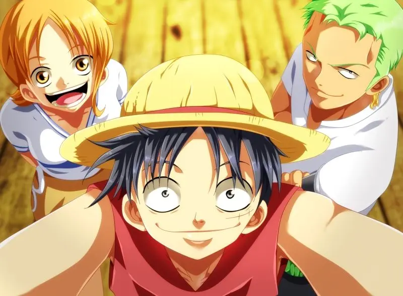 Luffy và đồng đội của anh ấy đang trong cuộc phiêu lưu.