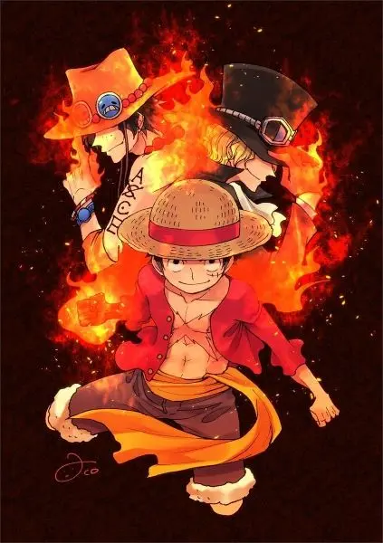 Làm việc theo nhóm trong mỗi bức ảnh của Luffy và bạn bè.